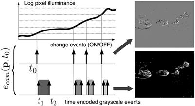 Event-Based Face Detection and Tracking Using the Dynamics of Eye Blinks